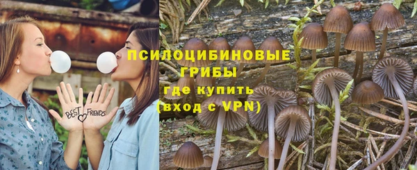 бутират Алексин