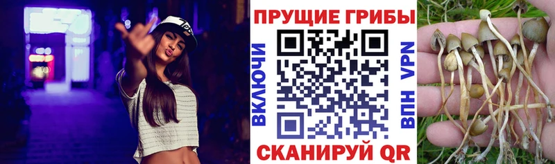 Галлюциногенные грибы мицелий  Коряжма 